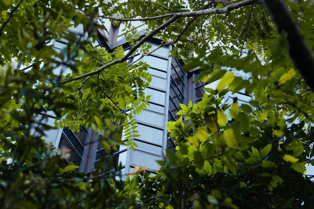 Primacy Apart Hotel Mar del Plata Ngoại thất bức ảnh